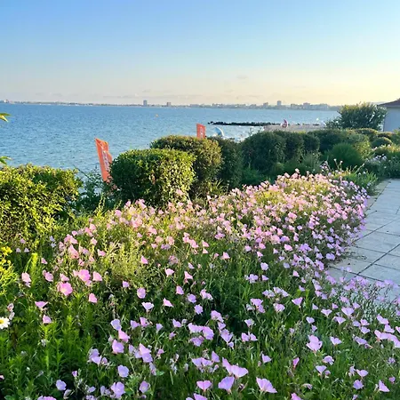 شقة Premier F1 420