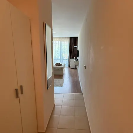 Apartment Premier F1 420 *