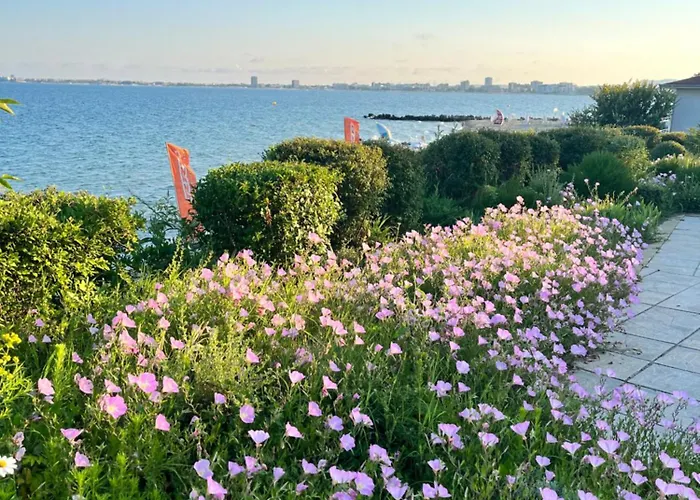 Apartman Premier F1 420